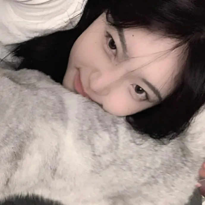 泰山2封面
