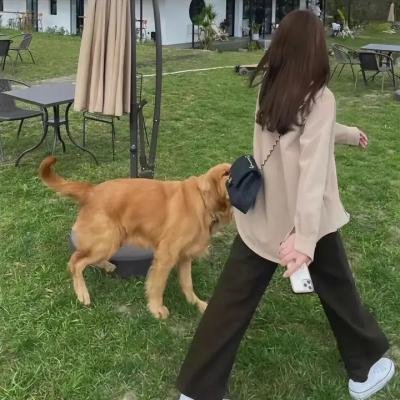 美眉校探 第二季封面